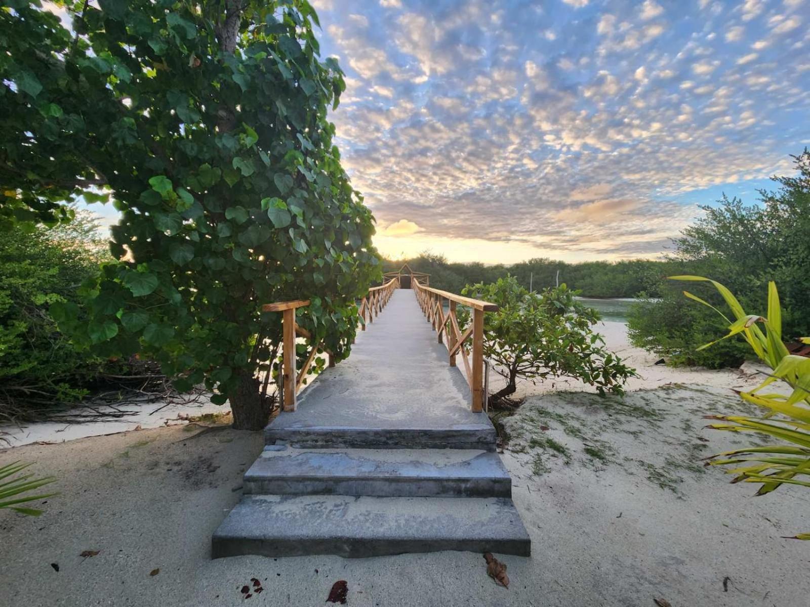 Surf Deck Hotel Thulusdhoo Kültér fotó